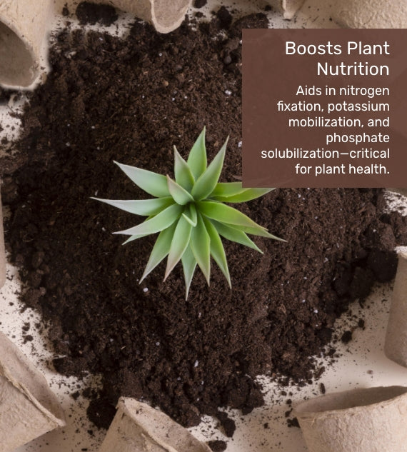 Pot Mix Concentrate - 900g