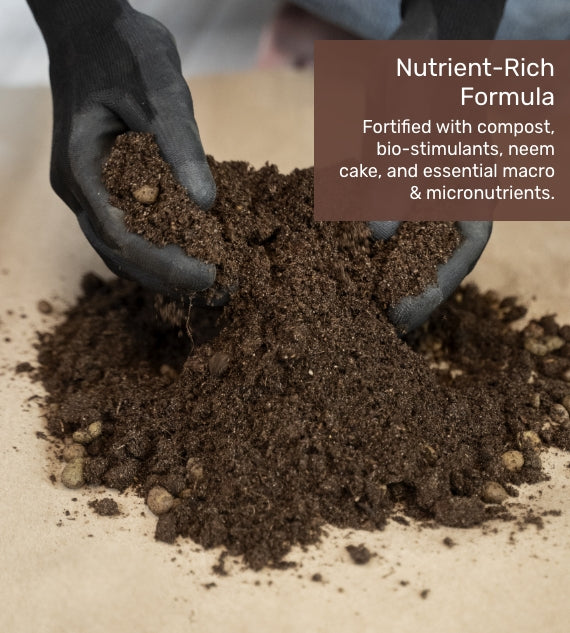 Pot Mix Concentrate - 900g