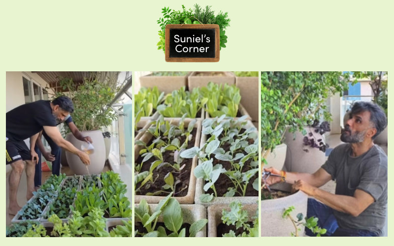 Superstar Suniel Shetty & Griin